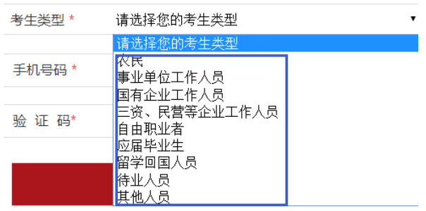 國家公務(wù)員報(bào)名表_國家公務(wù)員報(bào)名表怎么填